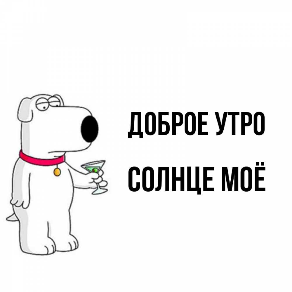Открытка на каждый день с именем, солнце-моё Доброе утро герои мультфильмов белый пес Прикольная открытка с пожеланием онлайн скачать бесплатно 