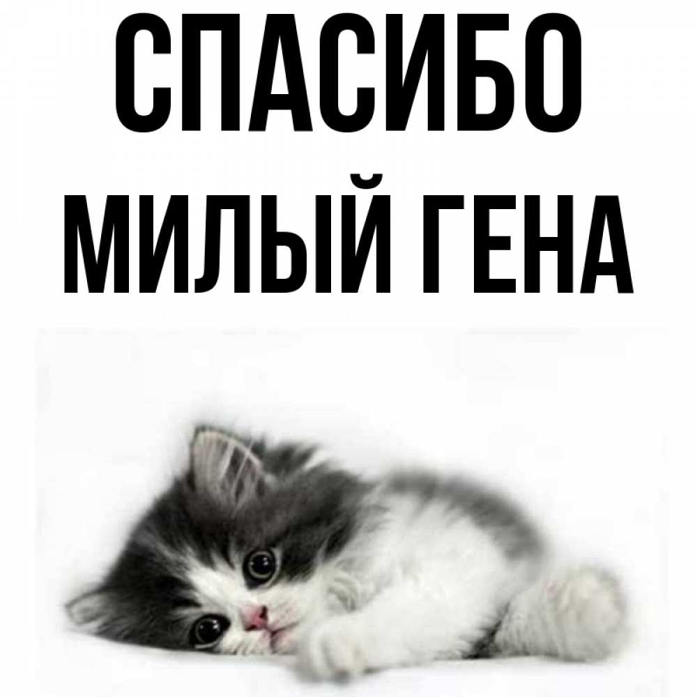 Спасибо гена картинки
