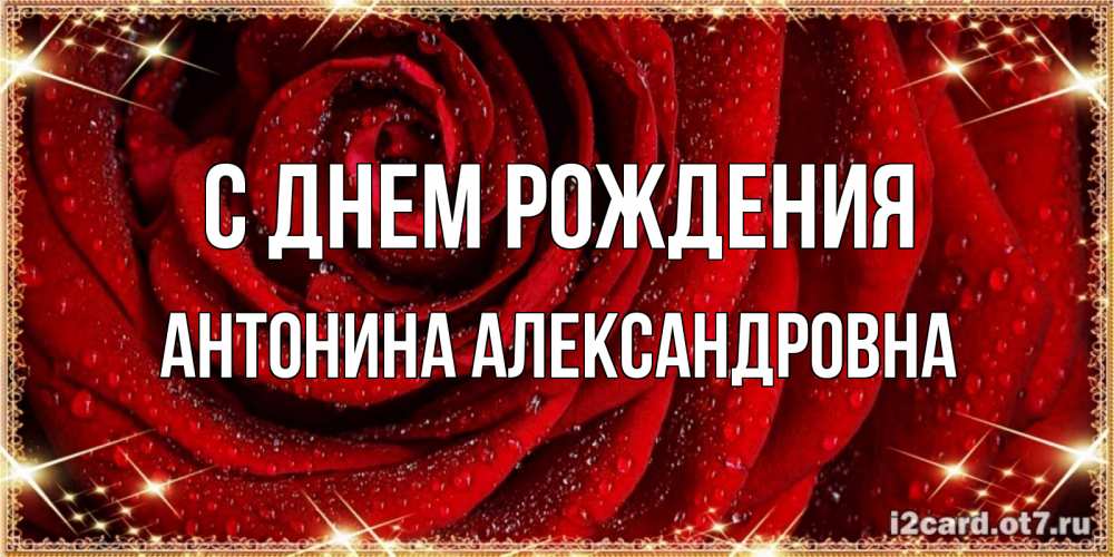 Открытка на каждый день с именем, Антонина-Александровна С днем рождения роса на розе блестящая в лучах солнца Прикольная открытка с пожеланием онлайн скачать бесплатно 