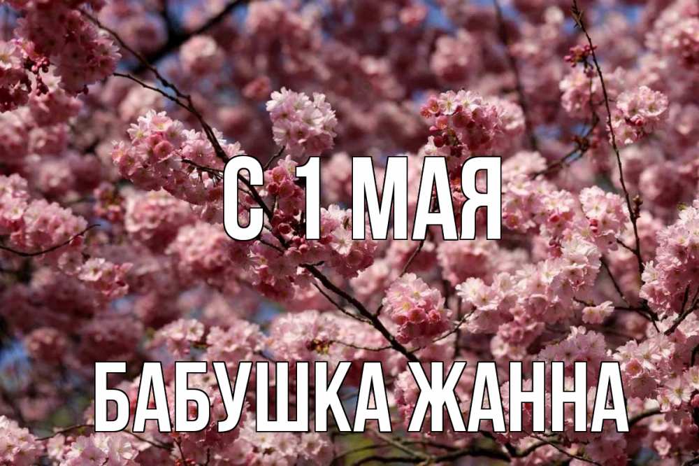 Открытка на каждый день с именем, Бабушка-Жанна С 1 мая С 1 мая Прикольная открытка с пожеланием онлайн скачать бесплатно 