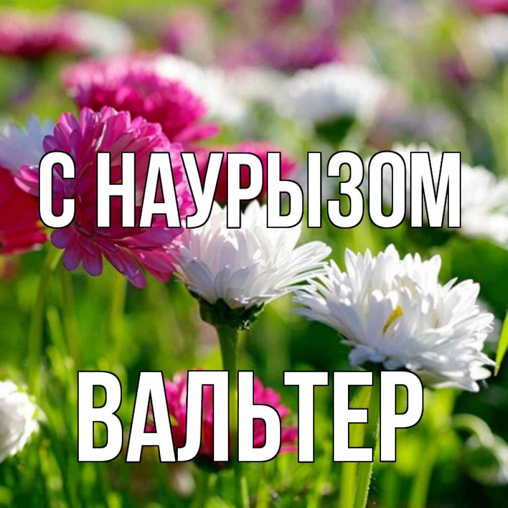 Открытка на каждый день с именем, Вальтер С наурызом праздник весны наурыз красота Прикольная открытка с пожеланием онлайн скачать бесплатно 