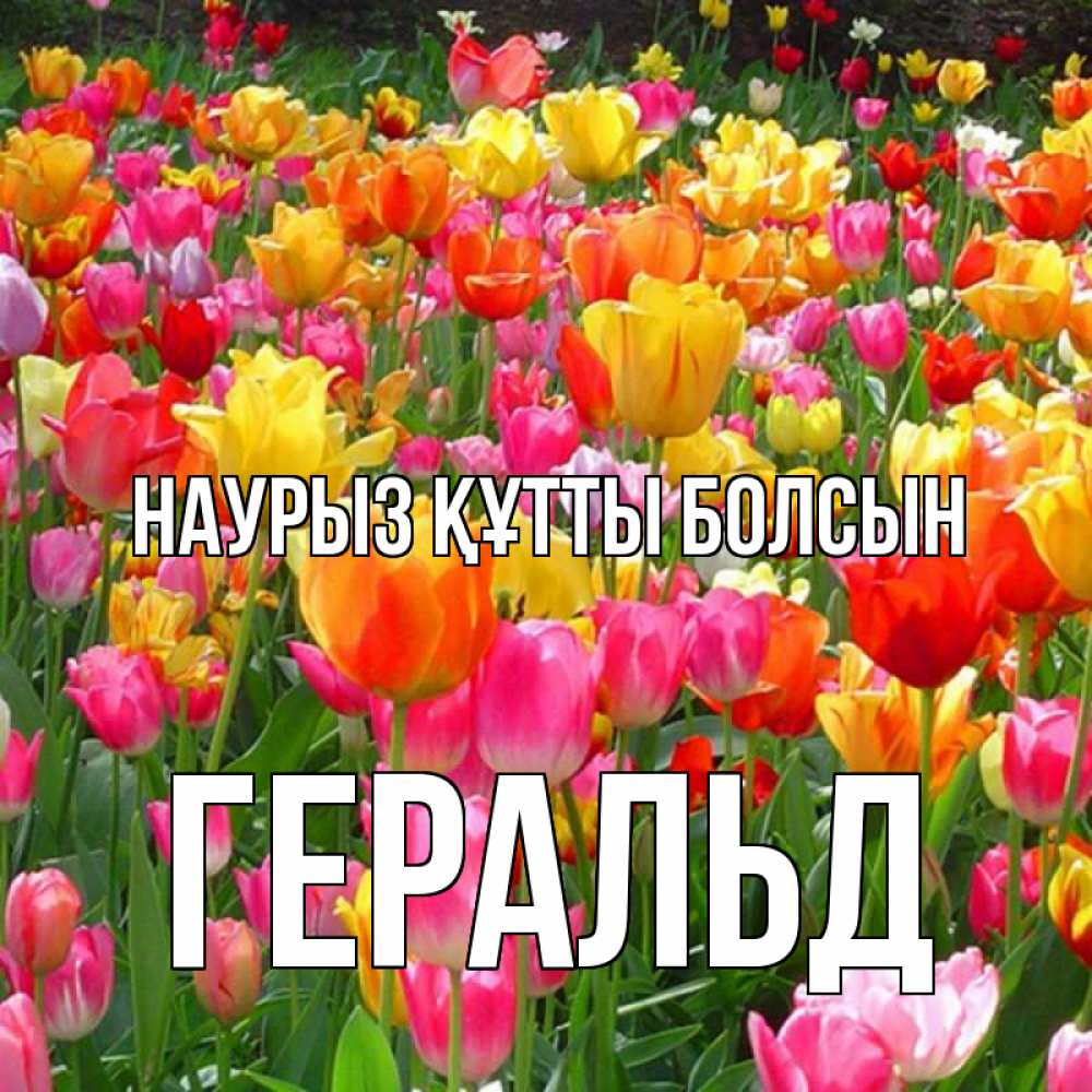 Открытка на каждый день с именем, Геральд Наурыз құтты болсын на наурыз  ура ура Прикольная открытка с пожеланием онлайн скачать бесплатно 
