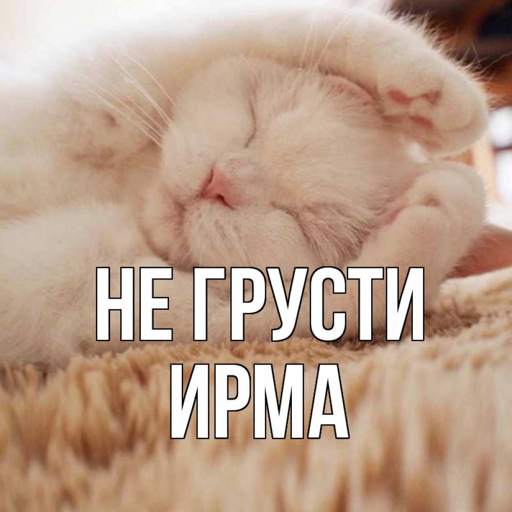 Открытка на каждый день с именем, Ирма Не грусти белый кот Прикольная открытка с пожеланием онлайн скачать бесплатно 