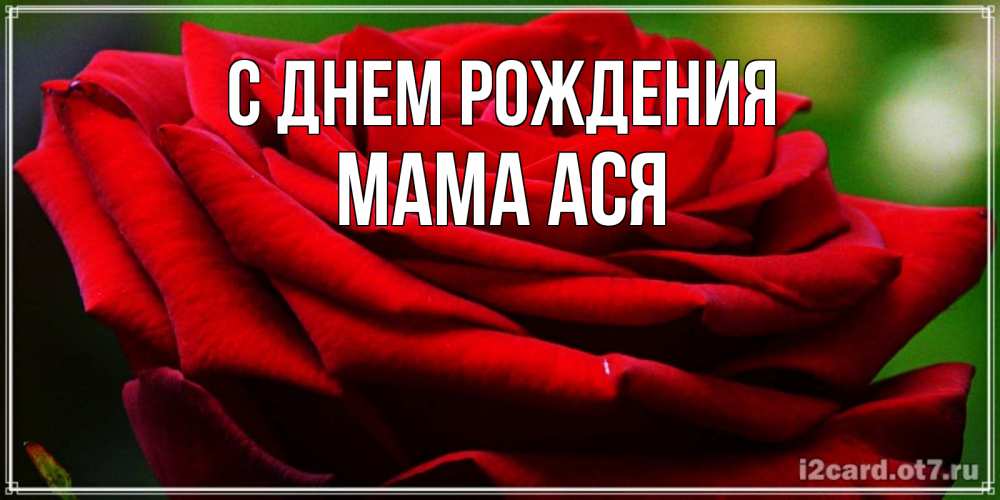 Открытка на каждый день с именем, Мама-Ася С днем рождения розочка очень красивая Прикольная открытка с пожеланием онлайн скачать бесплатно 