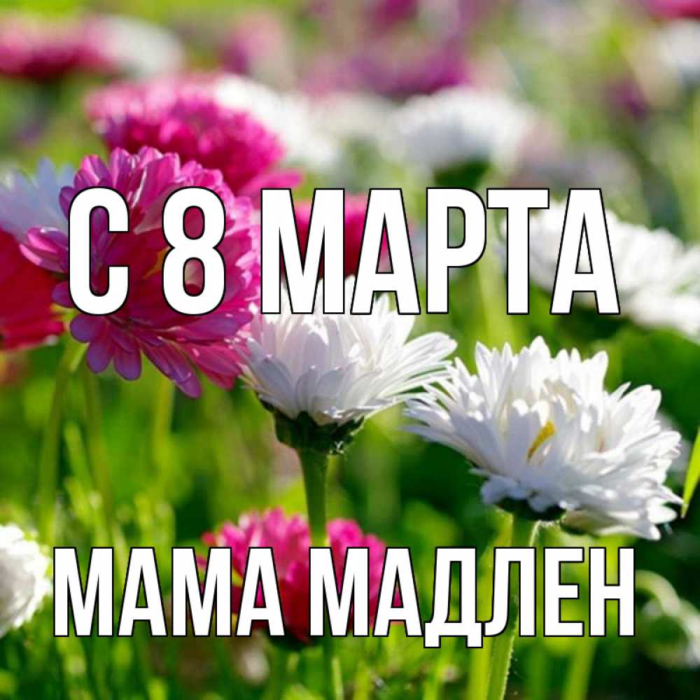 Открытка на каждый день с именем, Мама-Мадлен С 8 МАРТА международный женский день 1 Прикольная открытка с пожеланием онлайн скачать бесплатно 