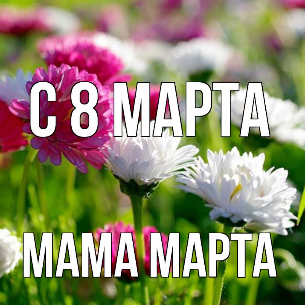 Открытка на каждый день с именем, Мама-Марта С 8 марта международный женский день 1 Прикольная открытка с пожеланием онлайн скачать бесплатно 
