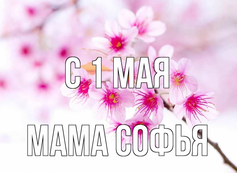 Открытка на каждый день с именем, Мама-Софья С 1 мая С 1 мая 2 Прикольная открытка с пожеланием онлайн скачать бесплатно 