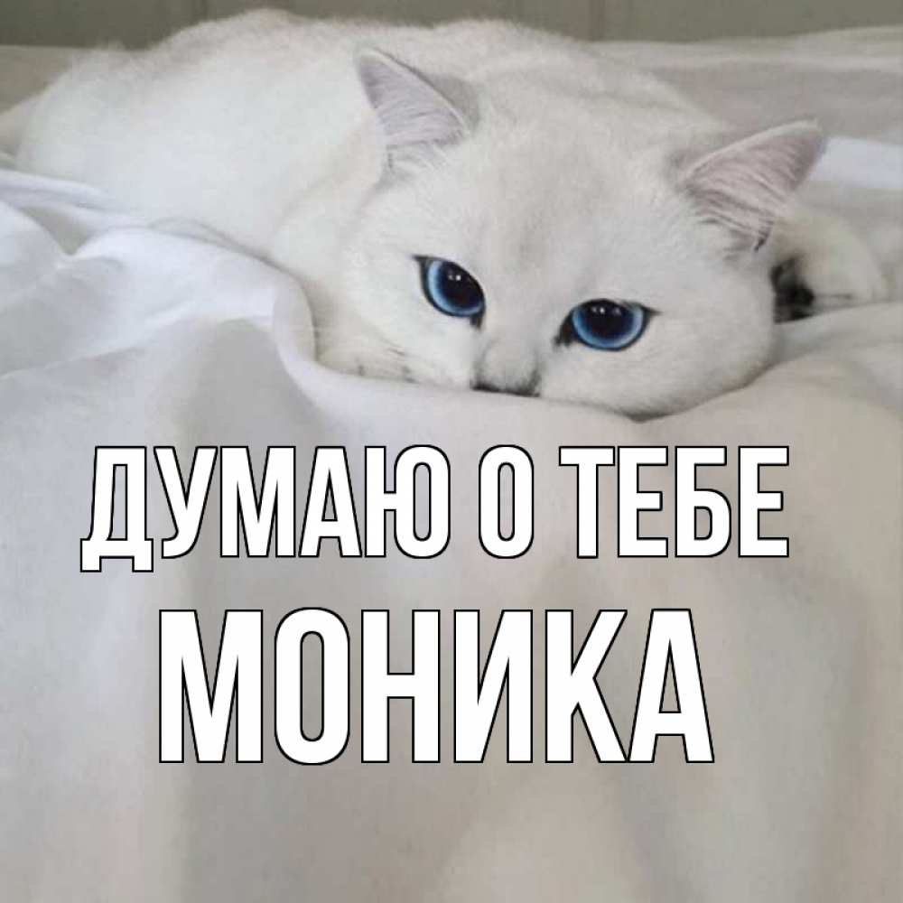 Открытка на каждый день с именем, Моника Думаю о тебе я очень по тебе скучаю и тоскую Прикольная открытка с пожеланием онлайн скачать бесплатно 