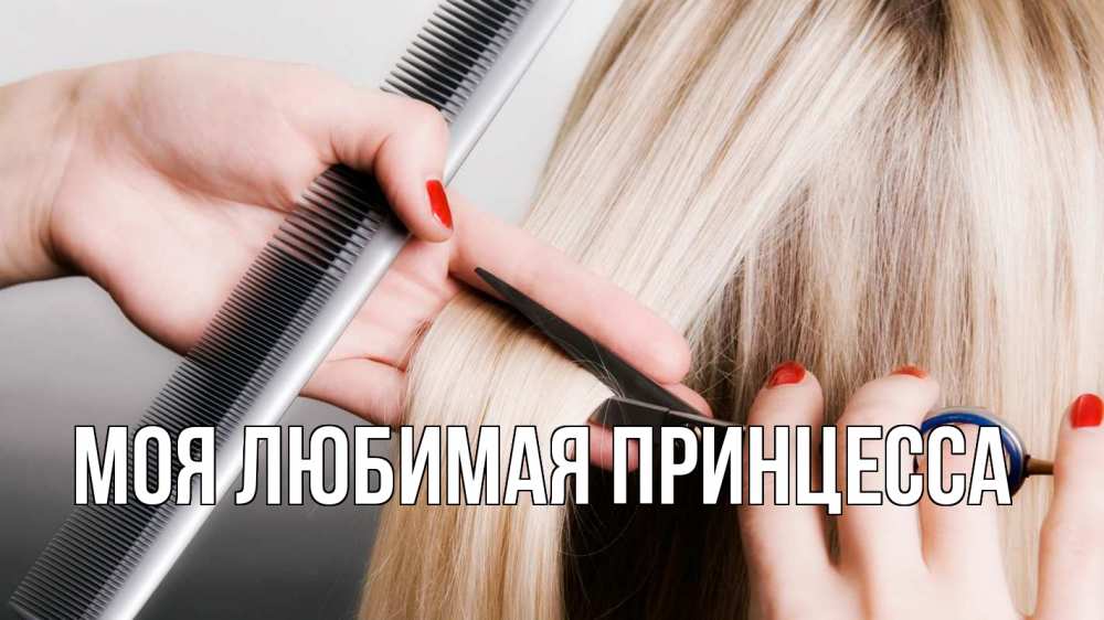 Открытка на каждый день с именем, Моя-Любимая-Принцесса Главная с днем парикмахера расческа прическа стрижка Прикольная открытка с пожеланием онлайн скачать бесплатно 