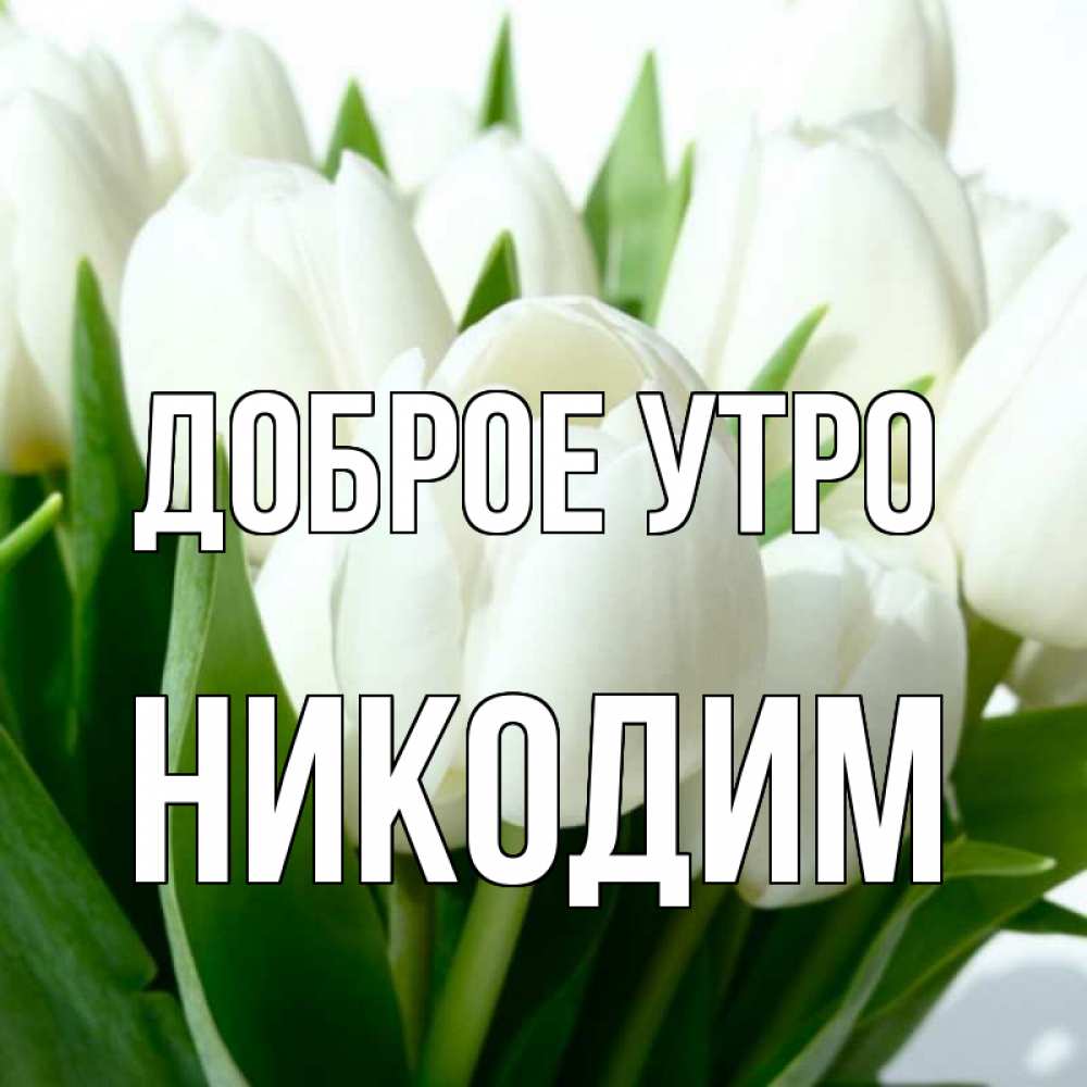 Открытка на каждый день с именем, Никодим Доброе утро открытки на каждый день по именам Прикольная открытка с пожеланием онлайн скачать бесплатно 