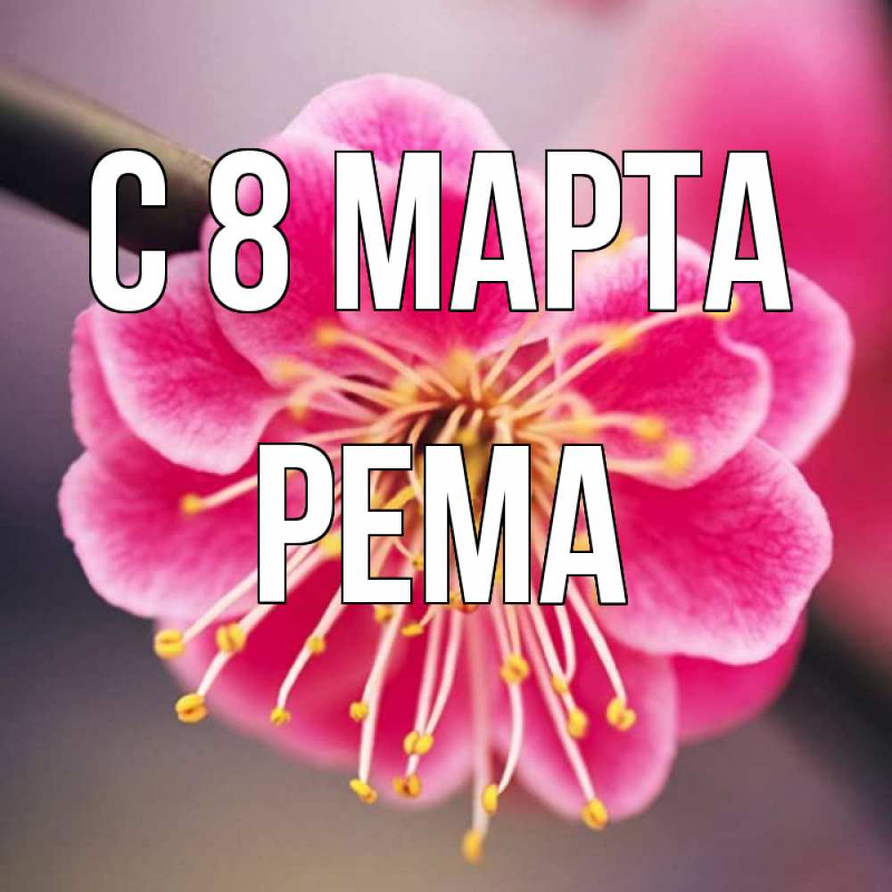 Открытка на каждый день с именем, Рема С 8 МАРТА цветы Прикольная открытка с пожеланием онлайн скачать бесплатно 