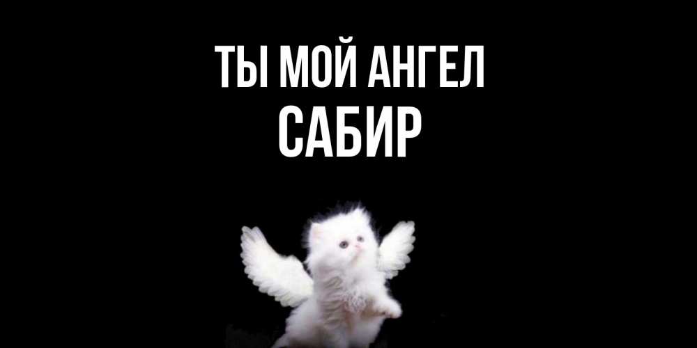 Открытка на каждый день с именем, Сабир Ты мой ангел Кот ангел Прикольная открытка с пожеланием онлайн скачать бесплатно 