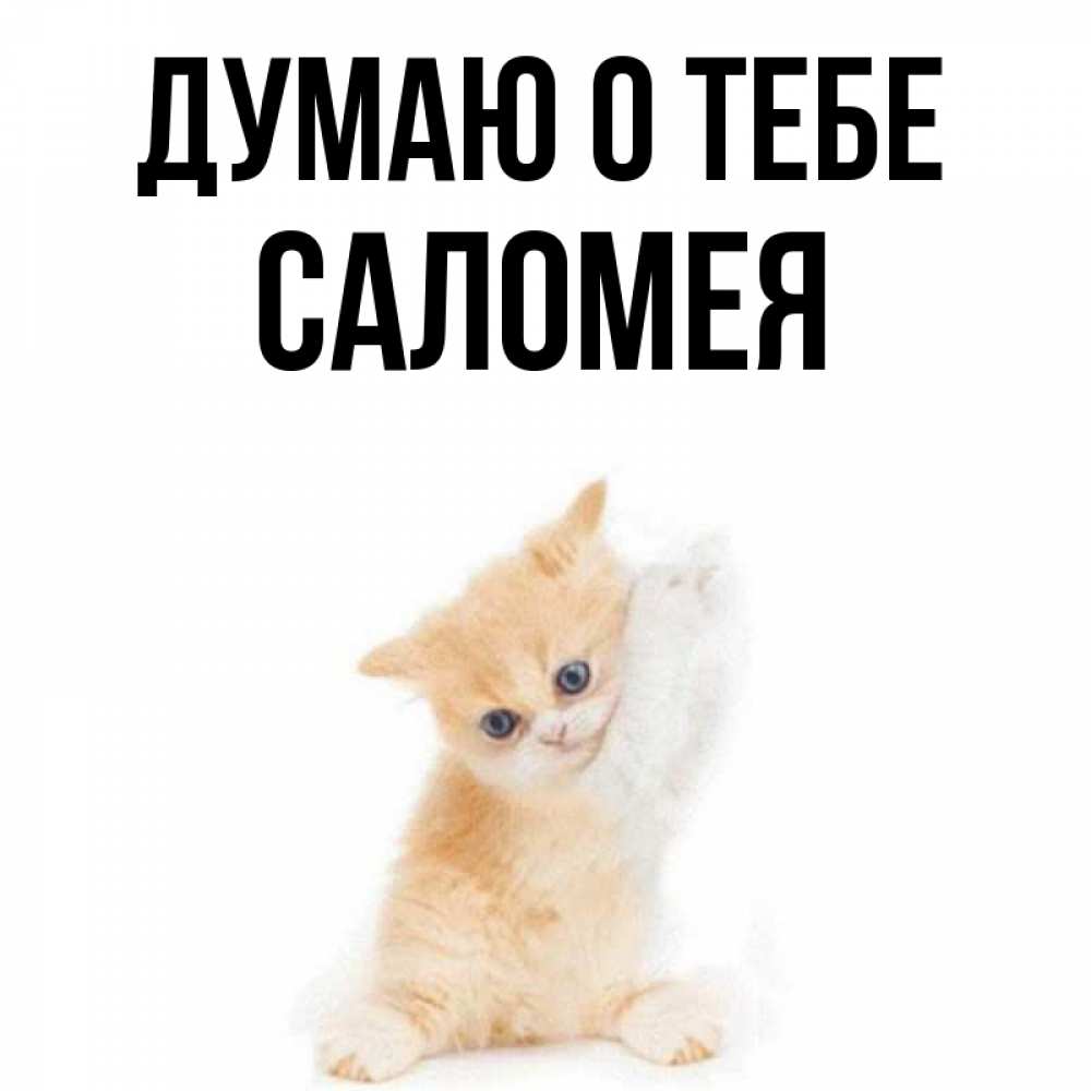Открытка на каждый день с именем, Саломея Думаю о тебе зверушки и милота Прикольная открытка с пожеланием онлайн скачать бесплатно 