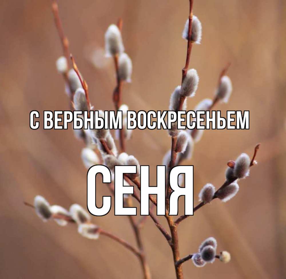 Открытка на каждый день с именем, Сеня С вербным воскресеньем верба Прикольная открытка с пожеланием онлайн скачать бесплатно 
