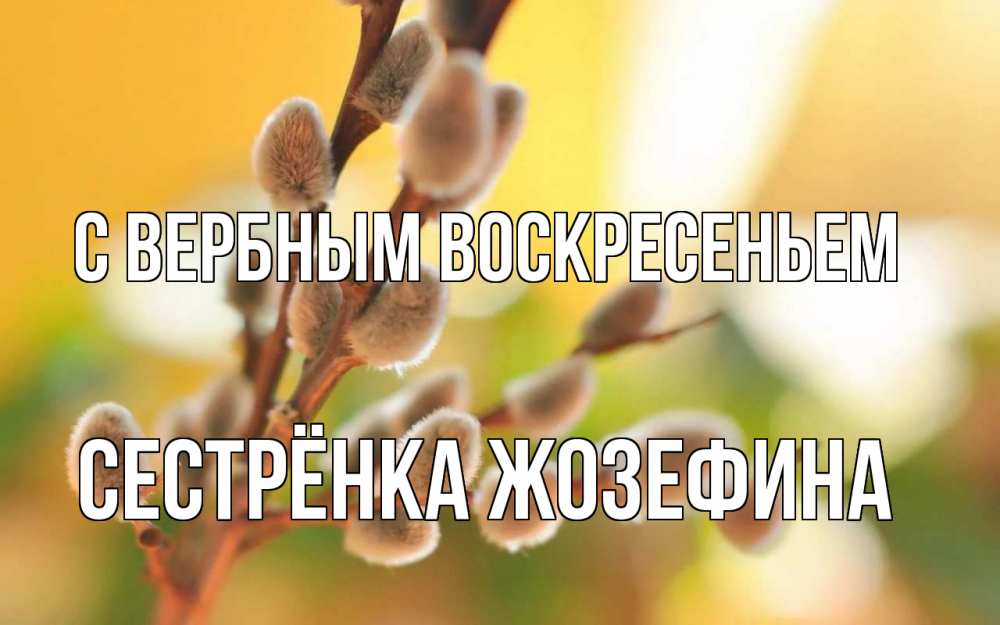 Открытка на каждый день с именем, Сестрёнка-Жозефина С вербным воскресеньем верба Прикольная открытка с пожеланием онлайн скачать бесплатно 