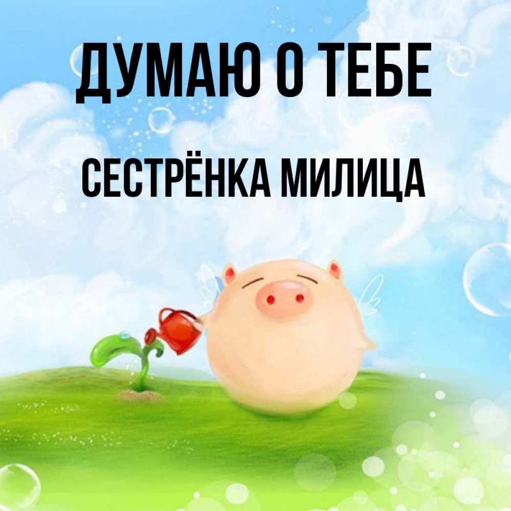 Открытка на каждый день с именем, Сестрёнка-Милица Думаю о тебе позитивная свинюшка Прикольная открытка с пожеланием онлайн скачать бесплатно 