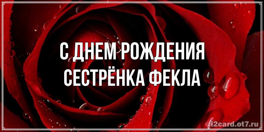 Открытка на каждый день с именем, Сестрёнка-Фекла С днем рождения крупная бордовая роза Прикольная открытка с пожеланием онлайн скачать бесплатно 