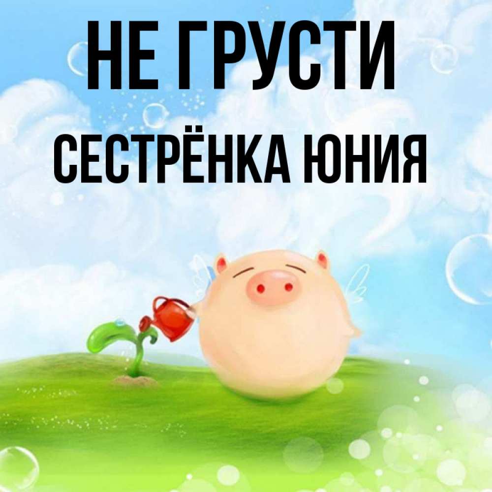 Открытка на каждый день с именем, Сестрёнка-Юния Не грусти поливает цветок порося Прикольная открытка с пожеланием онлайн скачать бесплатно 