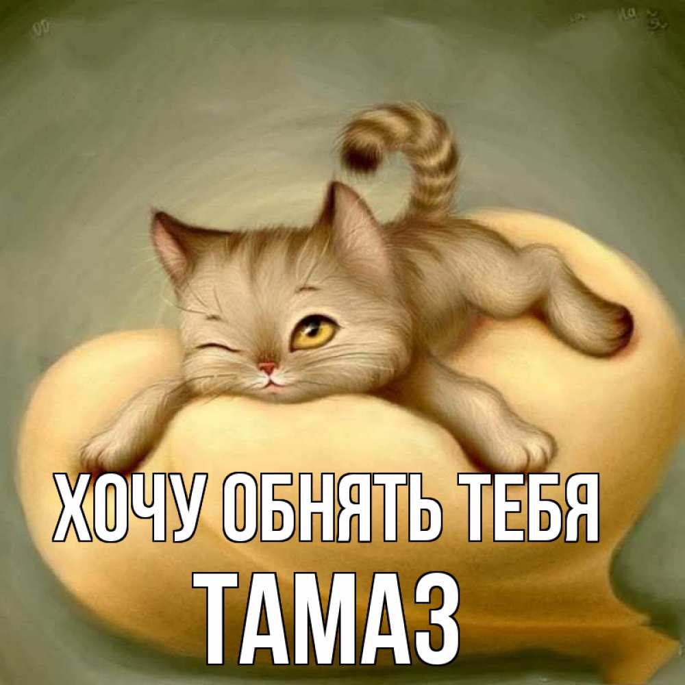Открытка на каждый день с именем, Тамаз Хочу обнять тебя кошечка Прикольная открытка с пожеланием онлайн скачать бесплатно 