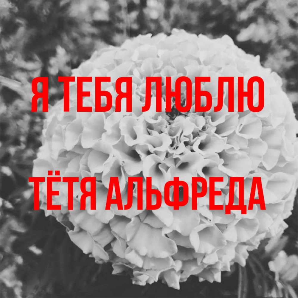 Открытка на каждый день с именем, Тётя-Альфреда Я тебя люблю подпись Прикольная открытка с пожеланием онлайн скачать бесплатно 