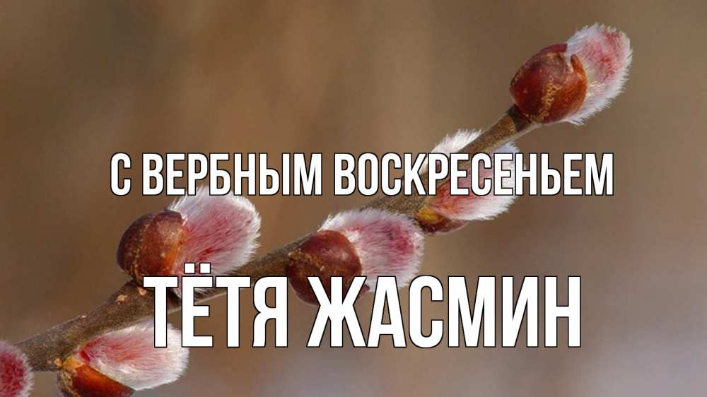 Открытка на каждый день с именем, Тётя-Жасмин С вербным воскресеньем верба Прикольная открытка с пожеланием онлайн скачать бесплатно 