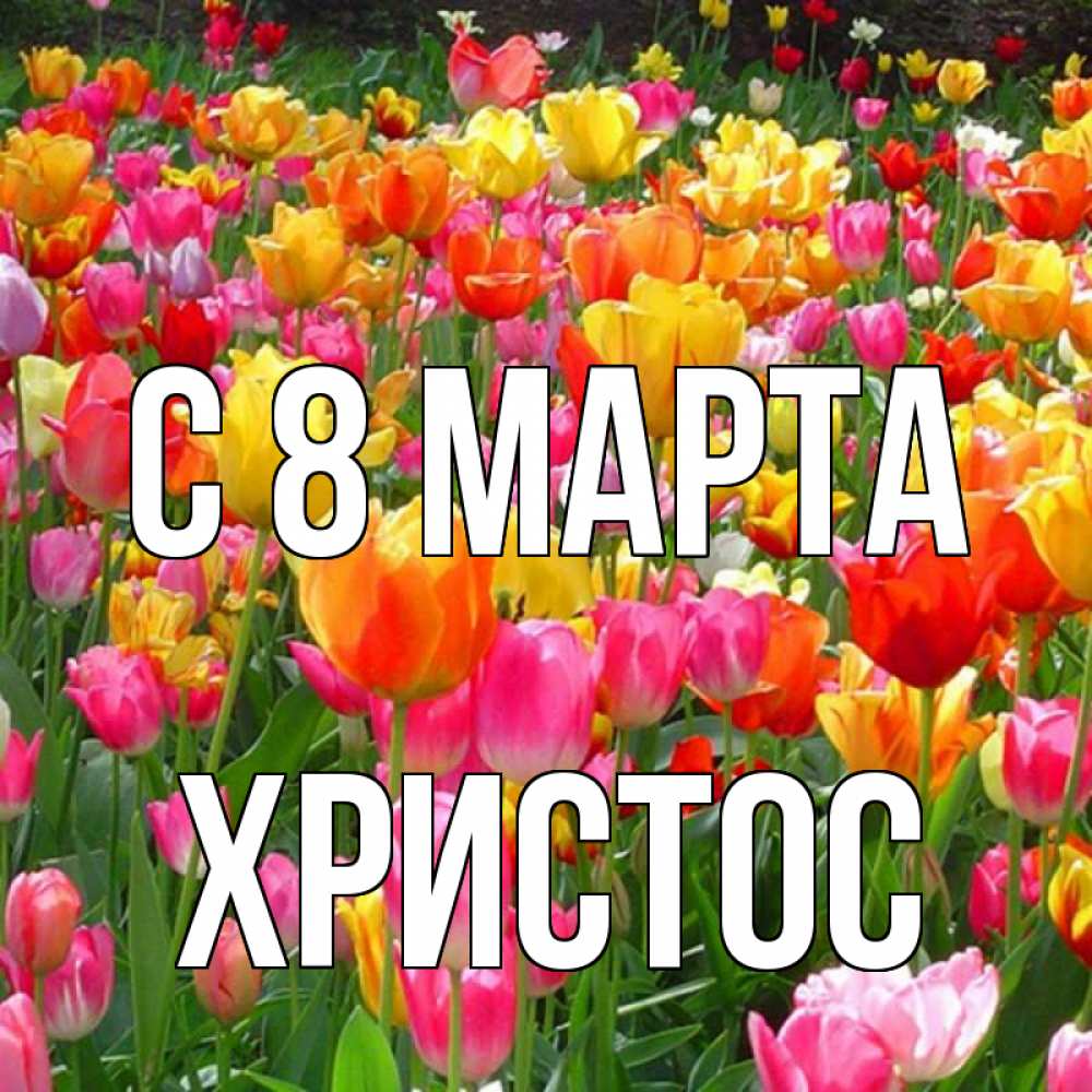 Открытка на каждый день с именем, Христос С 8 МАРТА на международный женский день Прикольная открытка с пожеланием онлайн скачать бесплатно 
