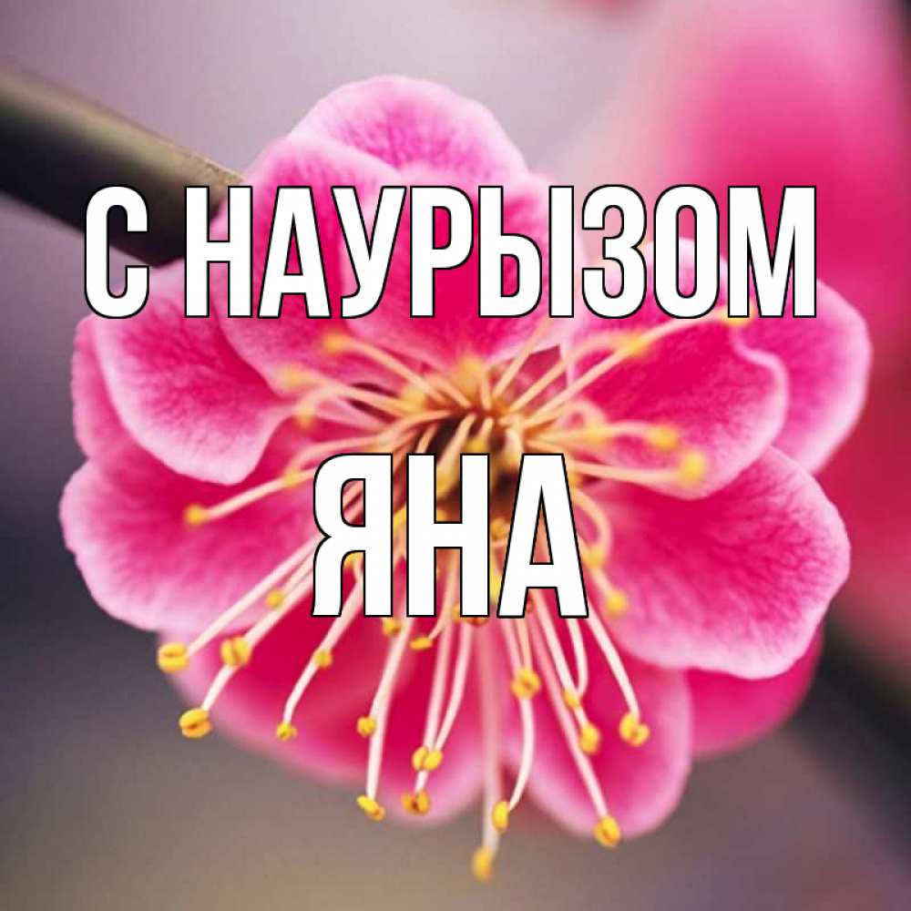 Открытка на каждый день с именем, Яна С наурызом цветы Прикольная открытка с пожеланием онлайн скачать бесплатно 