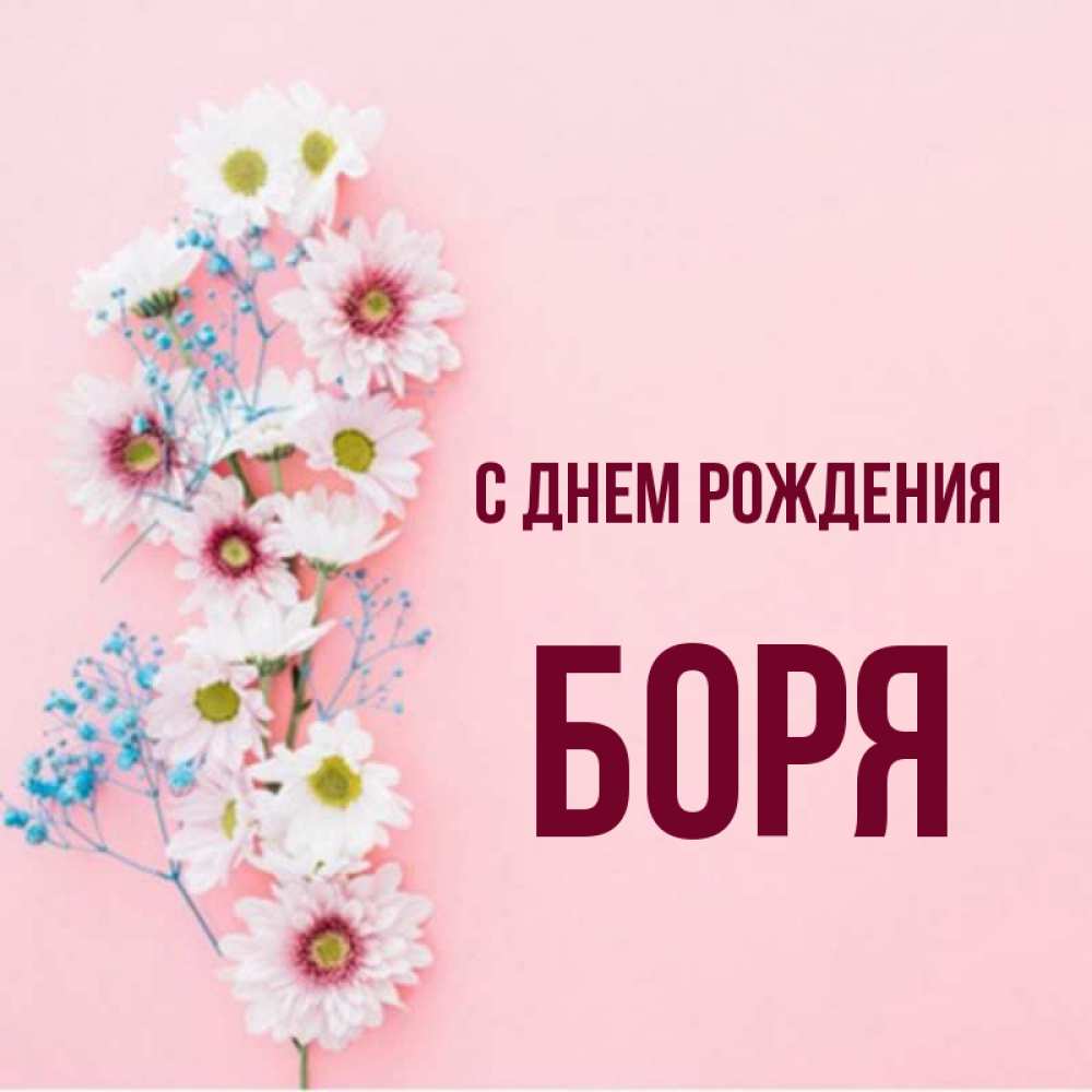 Боря с днем рождения картинки