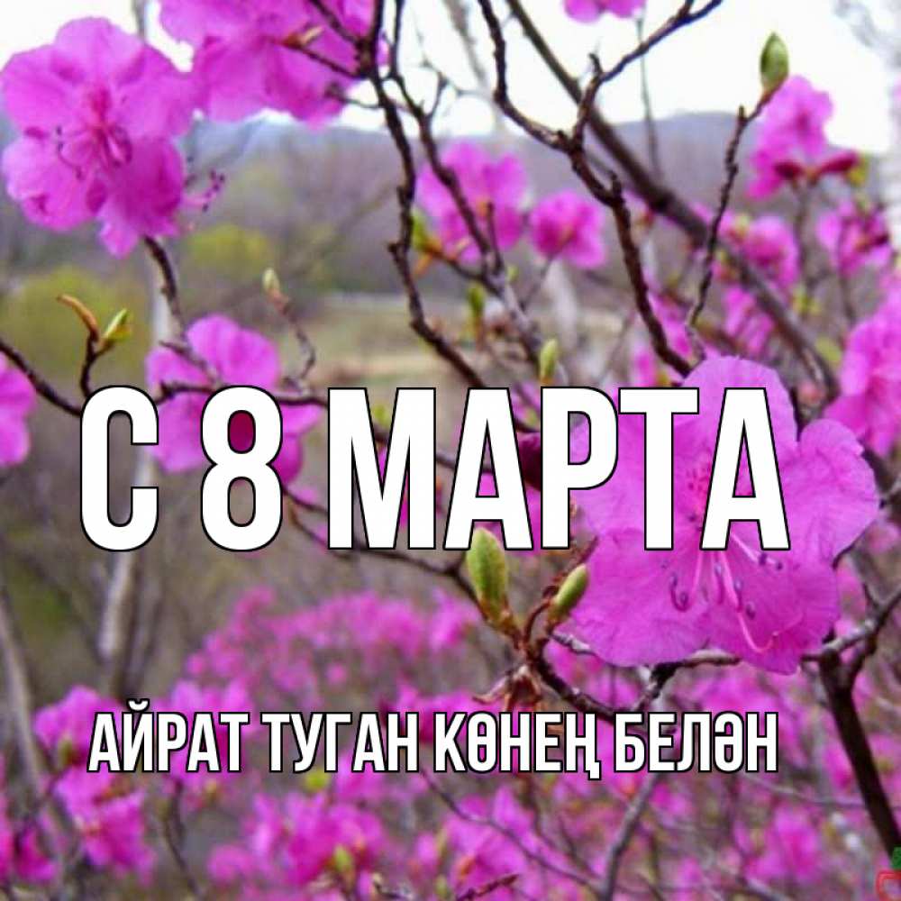 Открытка на каждый день с именем, Айрат-туган-көнең-белән С 8 марта международный женский день Прикольная открытка с пожеланием онлайн скачать бесплатно 