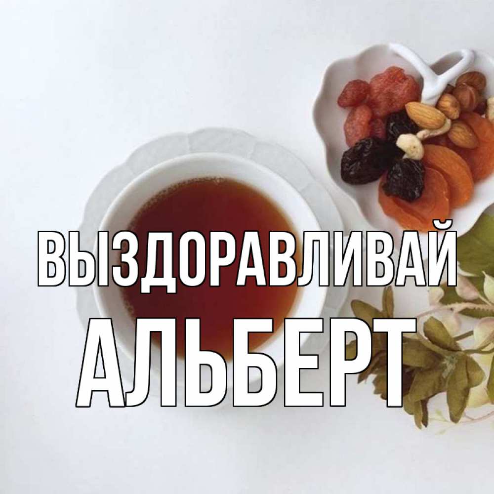 Открытка на каждый день с именем, Альберт Выздоравливай неизвестные растения Прикольная открытка с пожеланием онлайн скачать бесплатно 
