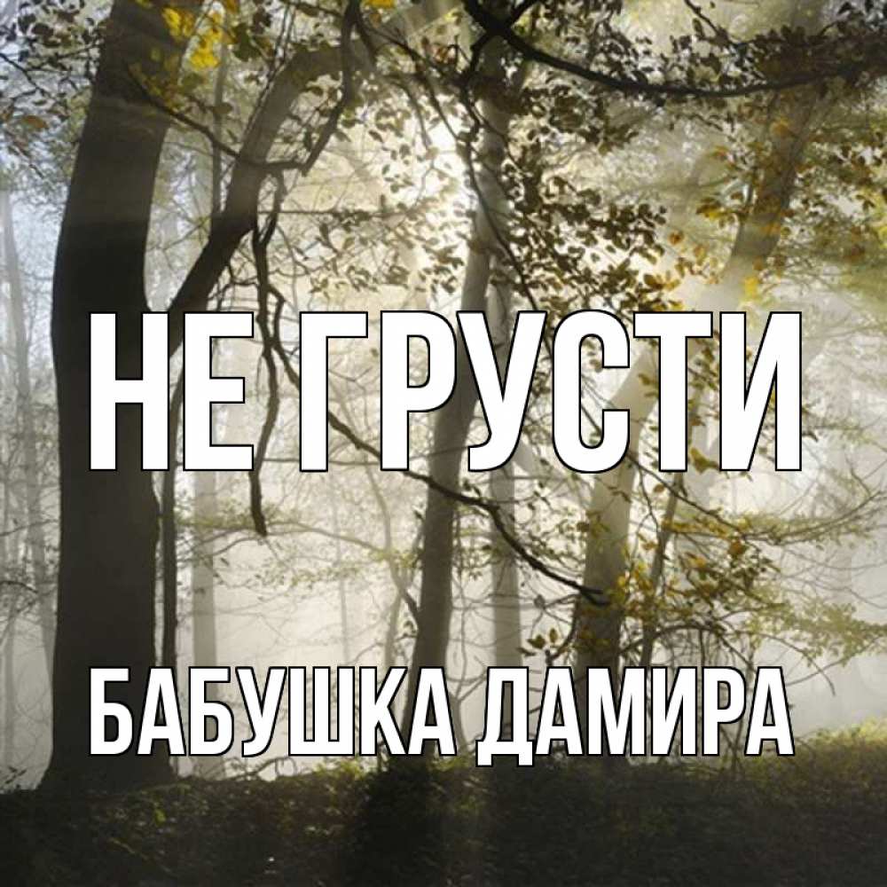 Открытка на каждый день с именем, Бабушка-Дамира Не грусти лес и свет Прикольная открытка с пожеланием онлайн скачать бесплатно 
