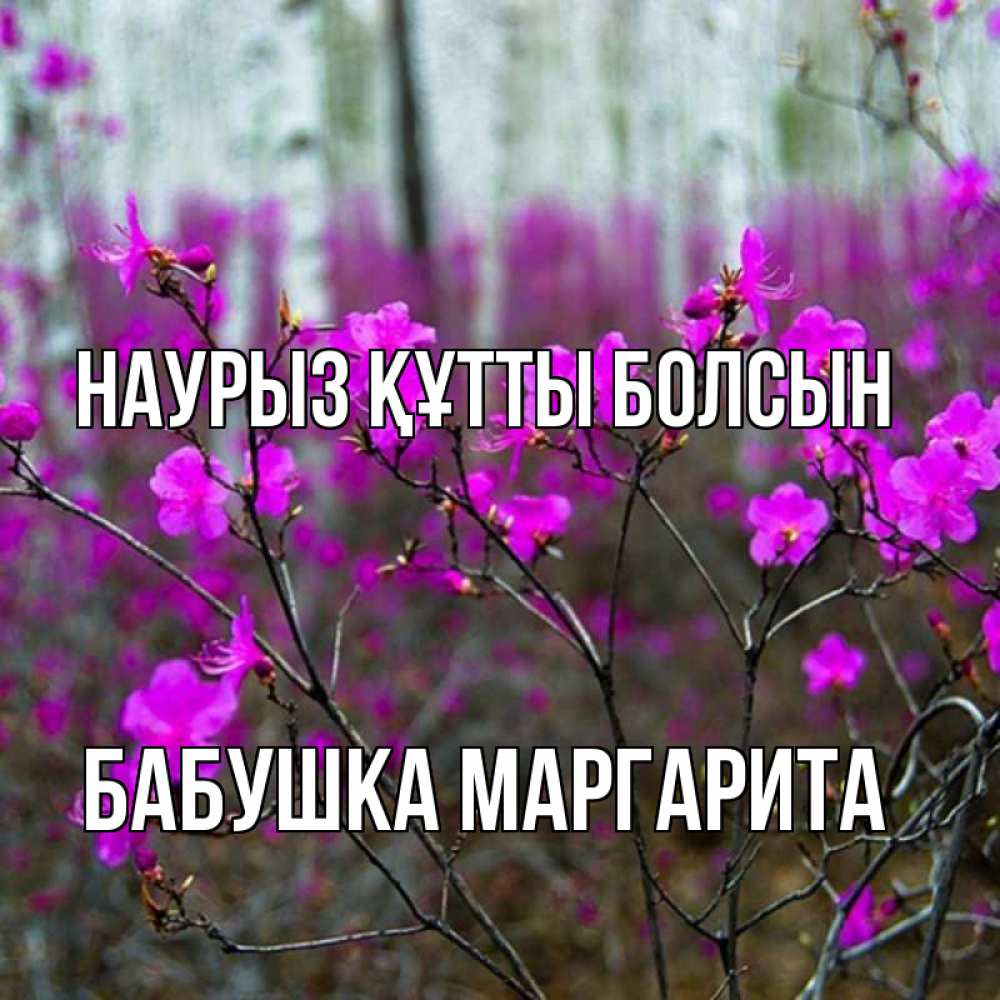 Открытка на каждый день с именем, Бабушка-Маргарита Наурыз құтты болсын дикие цветы Прикольная открытка с пожеланием онлайн скачать бесплатно 
