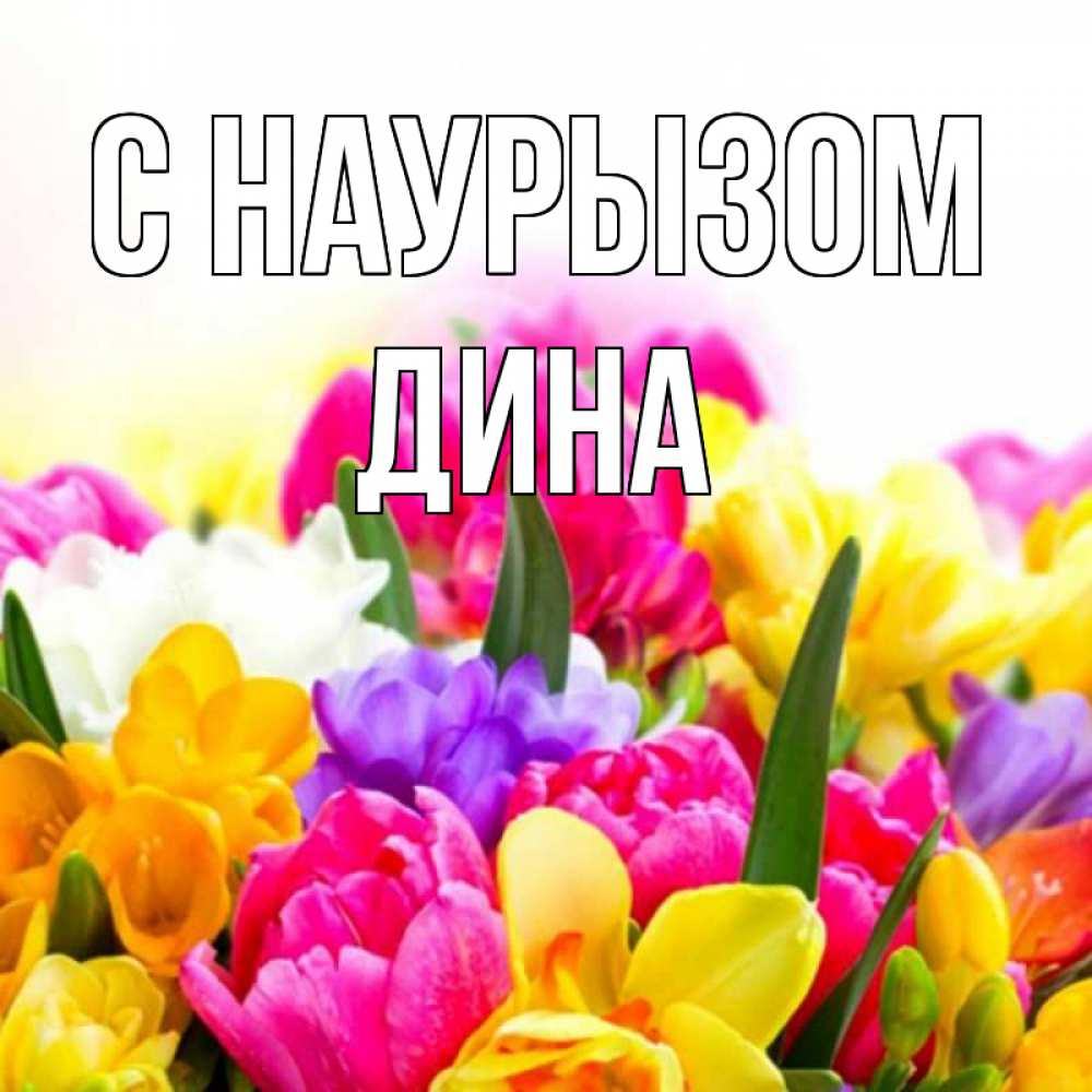 Открытка на каждый день с именем, Дина С наурызом тюльпаны Прикольная открытка с пожеланием онлайн скачать бесплатно 