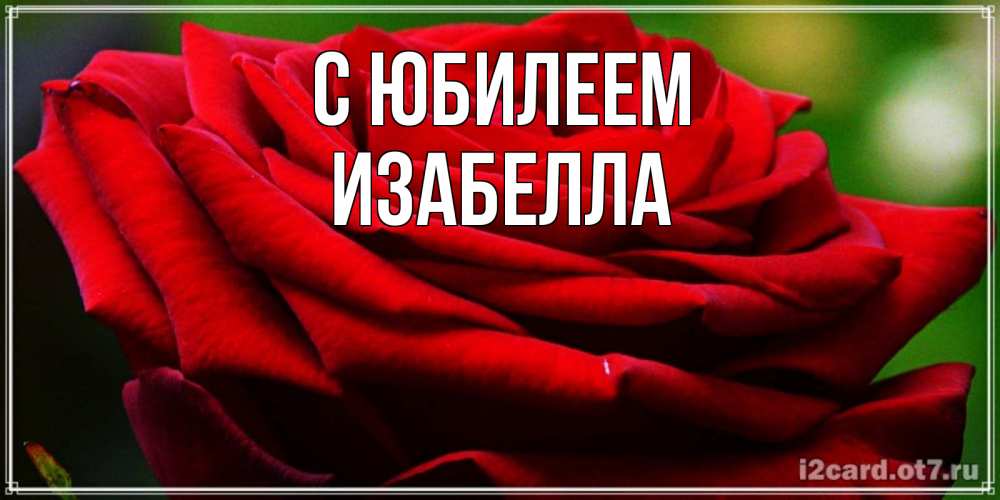 Открытка на каждый день с именем, Изабелла С юбилеем розочка очень красивая Прикольная открытка с пожеланием онлайн скачать бесплатно 