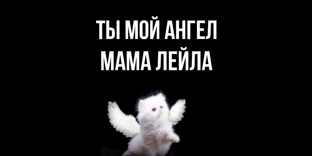 Открытка на каждый день с именем, Мама-Лейла Ты мой ангел Кот ангел Прикольная открытка с пожеланием онлайн скачать бесплатно 