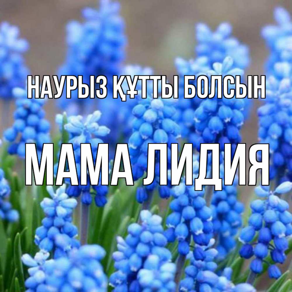 Открытка на каждый день с именем, Мама-Лидия Наурыз құтты болсын Поздравительная открытка для женщин с цветами на праздничную дату Прикольная открытка с пожеланием онлайн скачать бесплатно 