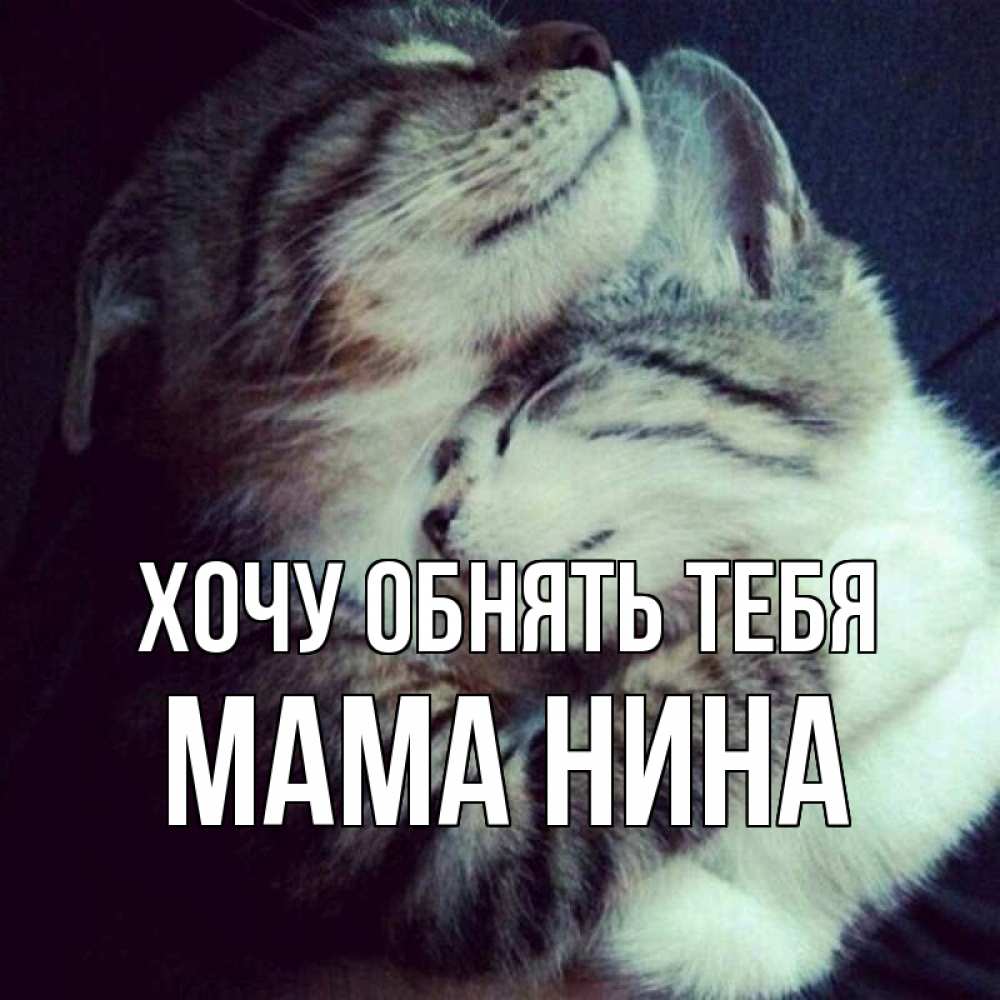 Открытка на каждый день с именем, Мама-Нина Хочу обнять тебя полосатики Прикольная открытка с пожеланием онлайн скачать бесплатно 
