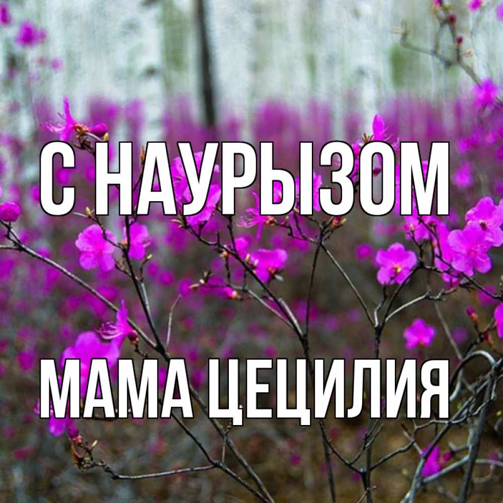 Открытка на каждый день с именем, Мама-Цецилия С наурызом дикие цветы Прикольная открытка с пожеланием онлайн скачать бесплатно 