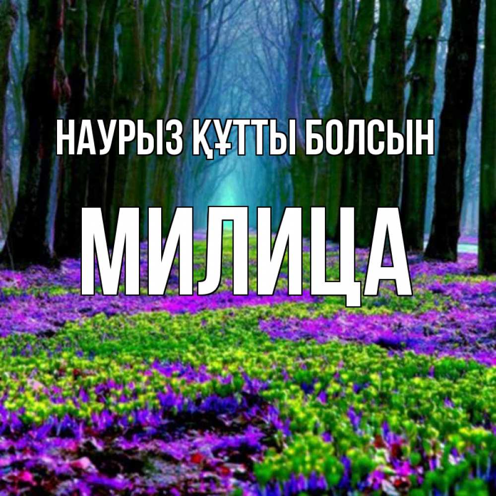 Открытка на каждый день с именем, Милица Наурыз құтты болсын фиолетовые цветы в лесу 1 Прикольная открытка с пожеланием онлайн скачать бесплатно 