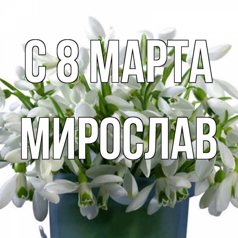 Открытка на каждый день с именем, Мирослав С 8 МАРТА цветы к международному женскому дню Прикольная открытка с пожеланием онлайн скачать бесплатно 