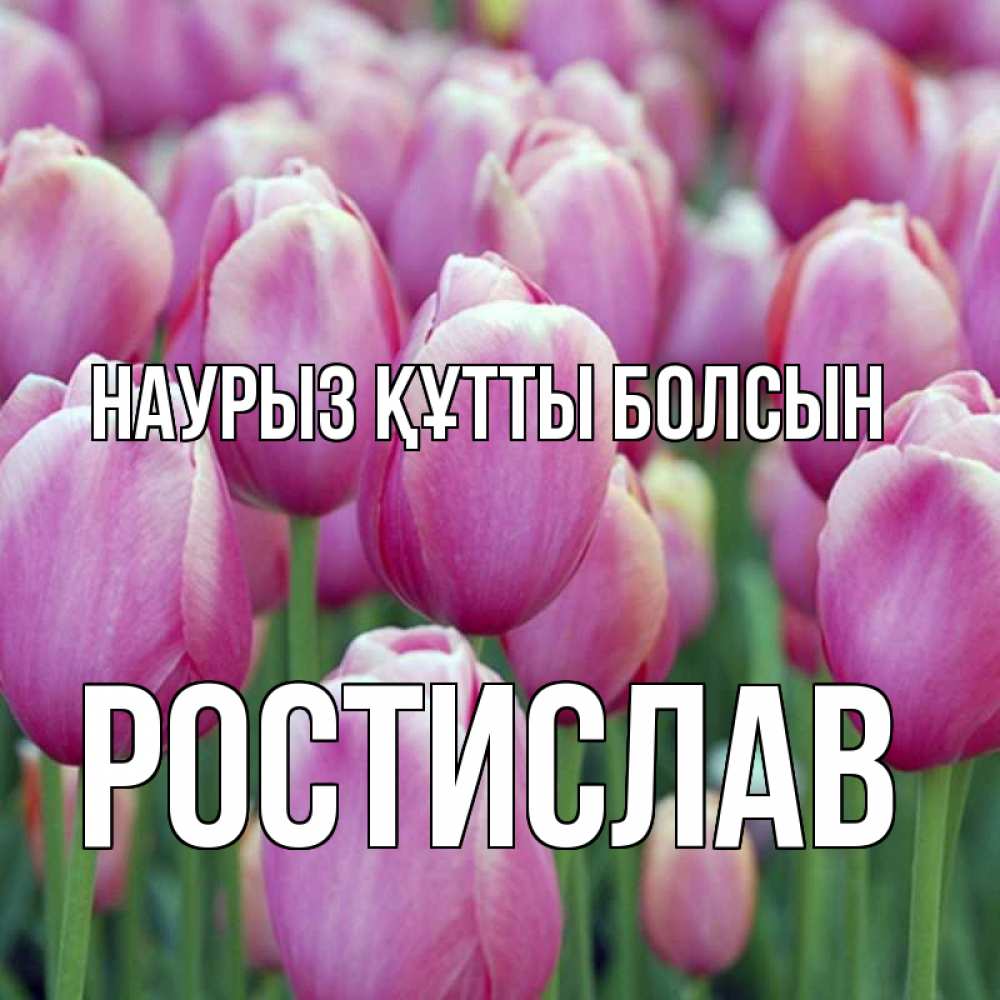 Открытка на каждый день с именем, Ростислав Наурыз құтты болсын на наурыз  день 3 Прикольная открытка с пожеланием онлайн скачать бесплатно 