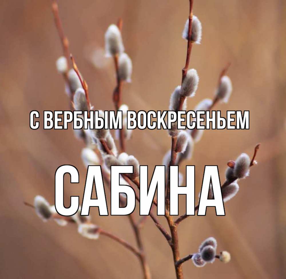 Открытка на каждый день с именем, Сабина С вербным воскресеньем верба Прикольная открытка с пожеланием онлайн скачать бесплатно 