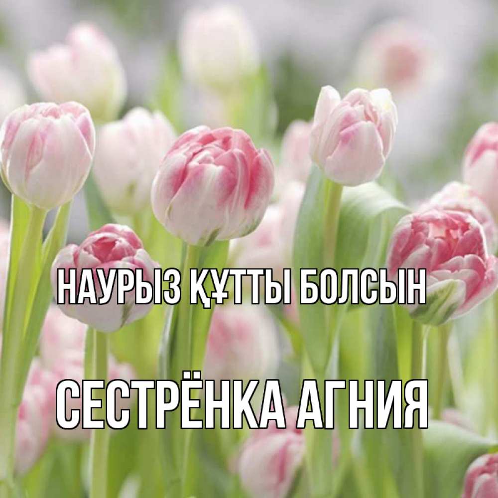 Открытка на каждый день с именем, Сестрёнка-Агния Наурыз құтты болсын цветы Прикольная открытка с пожеланием онлайн скачать бесплатно 