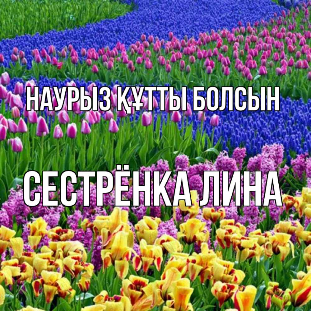 Открытка на каждый день с именем, Сестрёнка-Лина Наурыз құтты болсын цветы Прикольная открытка с пожеланием онлайн скачать бесплатно 