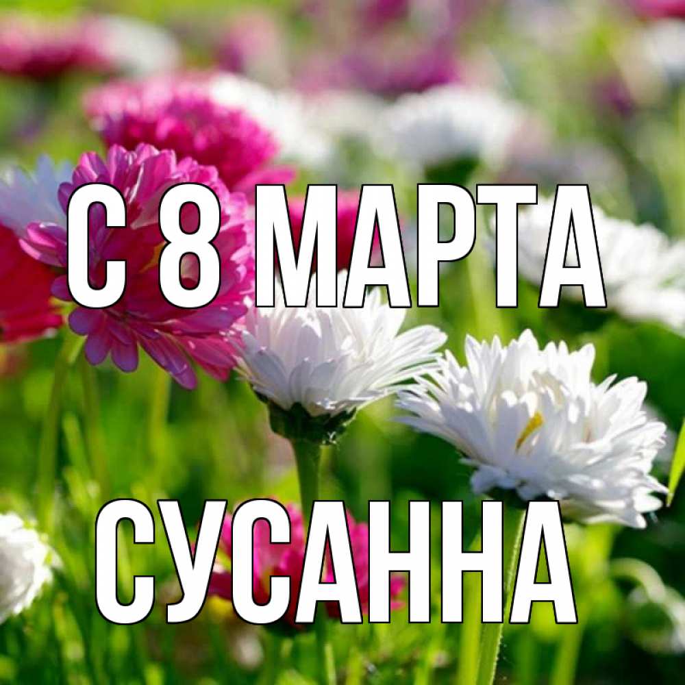 Открытка на каждый день с именем, Сусанна С 8 марта международный женский день 1 Прикольная открытка с пожеланием онлайн скачать бесплатно 