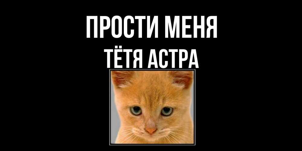 Открытка на каждый день с именем, Тётя-Астра Прости меня рыжий грустный кот просит прощения Прикольная открытка с пожеланием онлайн скачать бесплатно 