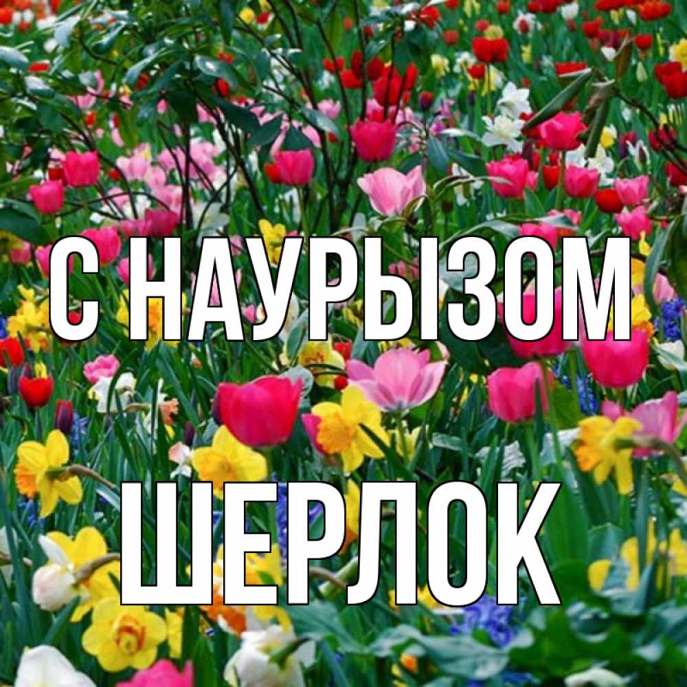 Открытка на каждый день с именем, Шерлок С наурызом с наурызом праздником весны поздравления для женщины Прикольная открытка с пожеланием онлайн скачать бесплатно 