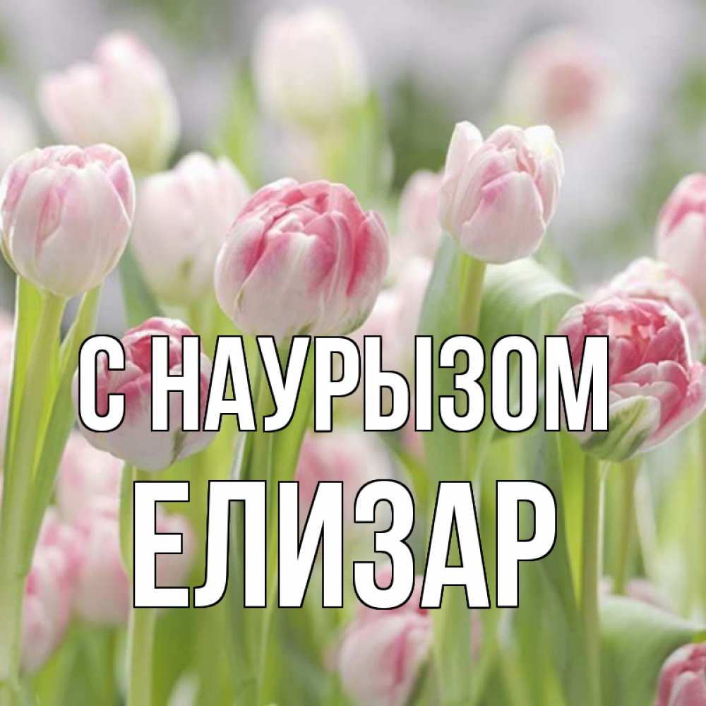 Открытка на каждый день с именем, Елизар С наурызом цветы Прикольная открытка с пожеланием онлайн скачать бесплатно 