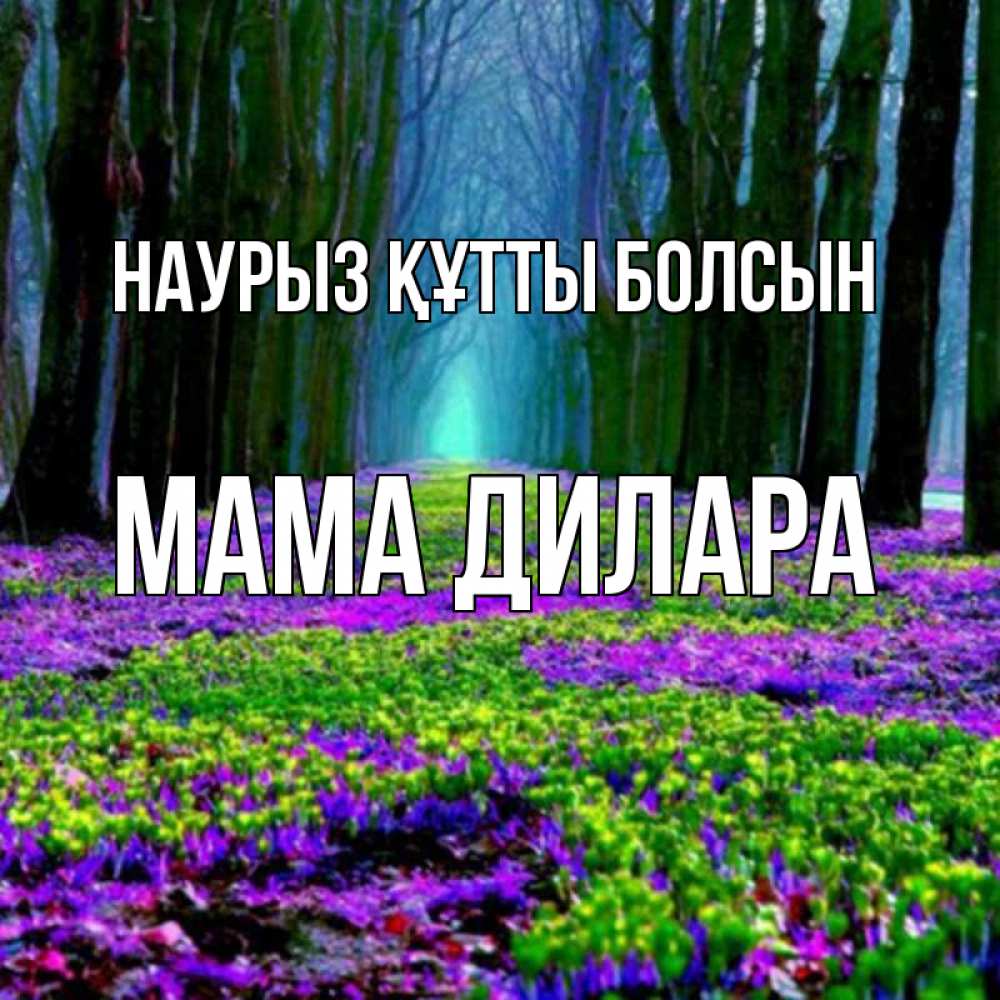 Открытка на каждый день с именем, Мама-Дилара Наурыз құтты болсын фиолетовые цветы в лесу 1 Прикольная открытка с пожеланием онлайн скачать бесплатно 