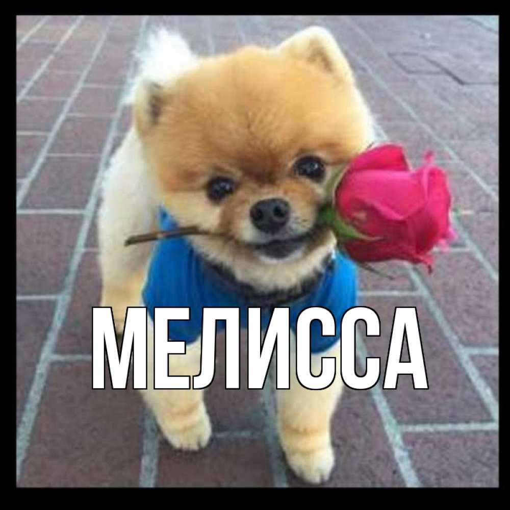 Картинка  с именем , Мелисса